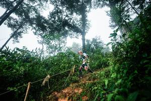 BIB: 
                            <button type="button" onclick="openModal(26203029)" class="btn btn-primary btn-sm float-right btn-popup" data-toggle="modal" data-target=".modal-high-quality">
                        <i class="fas fa-shopping-cart"></i> Add to Cart
                    </button>
                                            <button type="button" onclick="isThisMe(26203029, true)" class="btn btn-success btn-sm float-right btn-popup btn-isme hidden" data-toggle="tooltip" data-placement="bottom" title="นี่คือรูปของคุณใช่ไหม คลิกที่นี่เพื่อเอาเข้าอัลบั้ม">
                        <i class="fas fa-plus"></i> Add to album
                    </button>
                    <button type="button" onclick="isThisMe(26203029, false)" class="btn btn-warning btn-sm float-right btn-popup btn-isnotme hidden">
                        <i class="fas fa-ban"></i> Remove from album
                    </button>